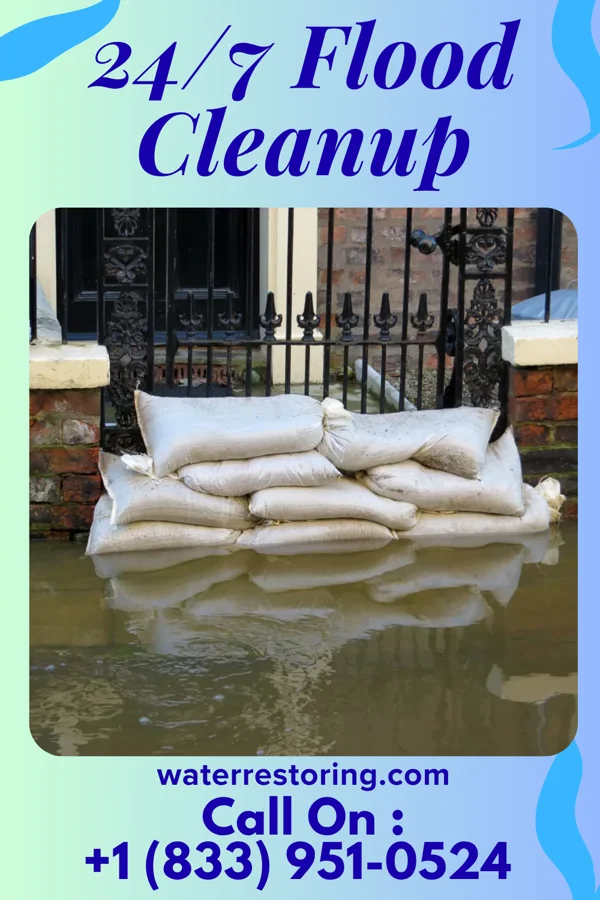 24/7 Flood Cleanup in Elbow Lake, MN