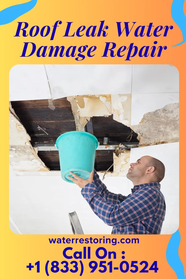 Roof Leak Water Damage Repair in Elbow Lake, MN