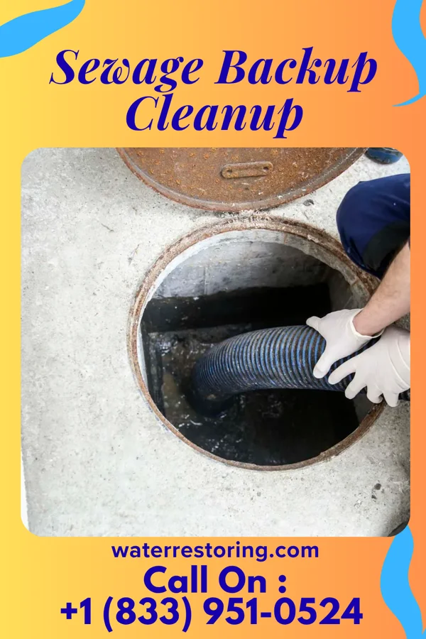 Sewage Backup Cleanup in Elbow Lake, MN