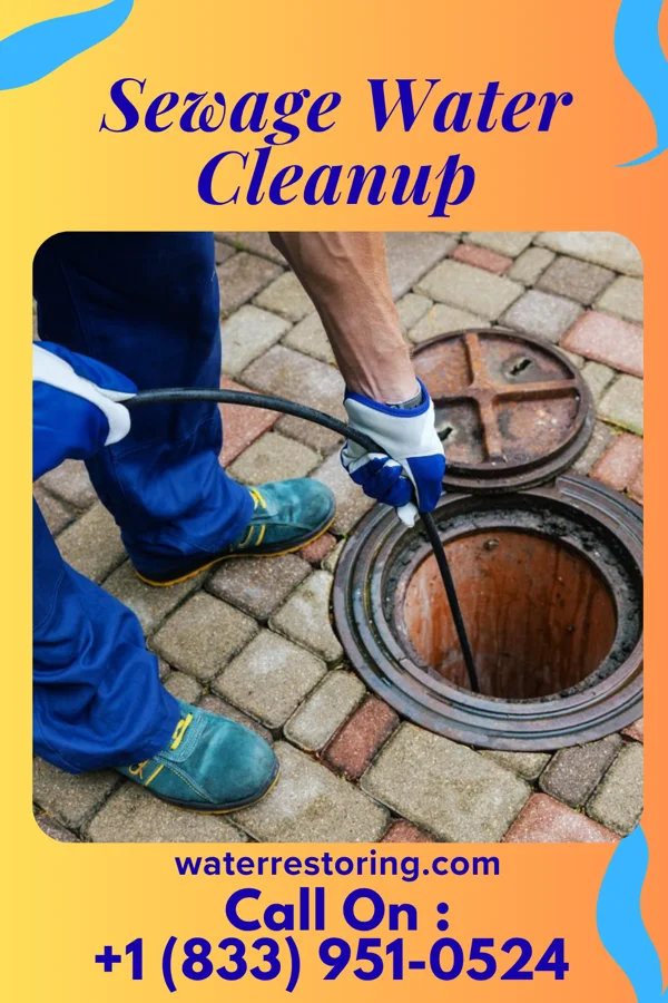 Sewage Water Cleanup in Elbow Lake, MN
